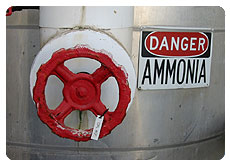 Ammonia Safety Valve